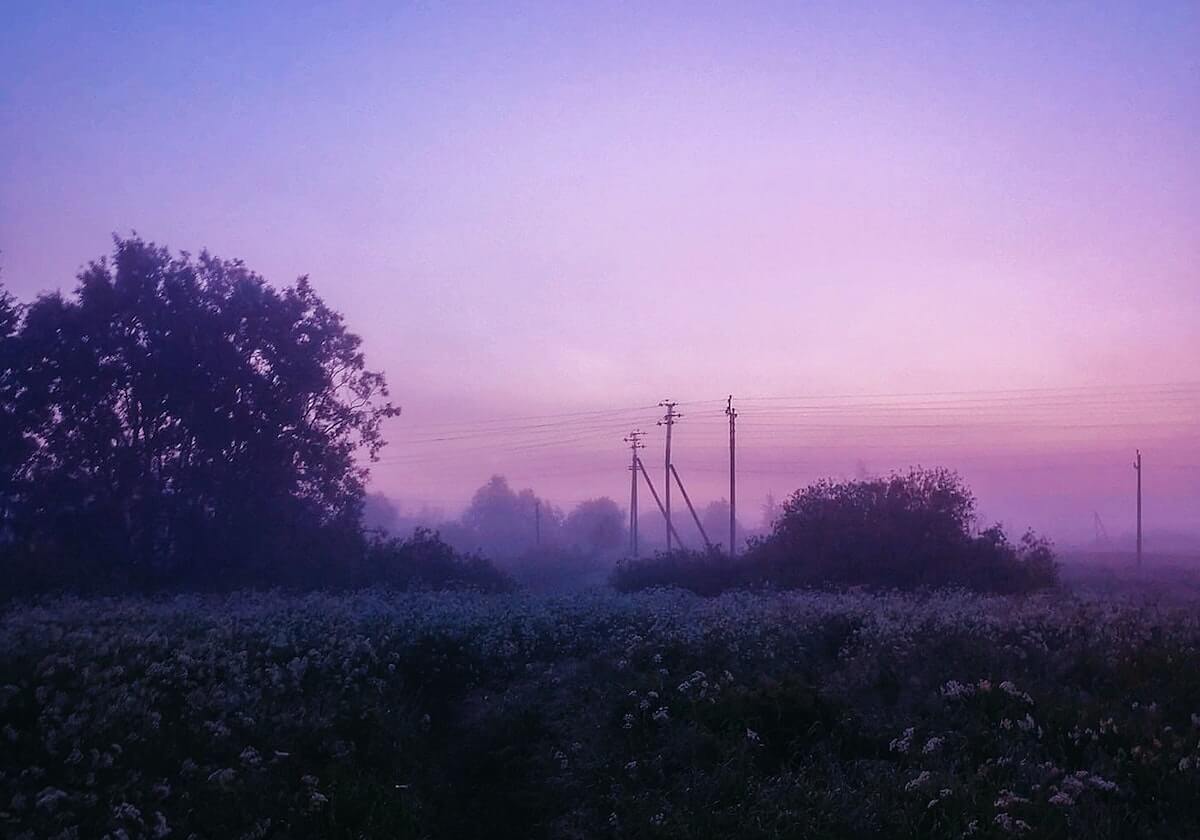 金年会官网-亚足联评选亚冠东亚区6大值得关注新星 陈威入选